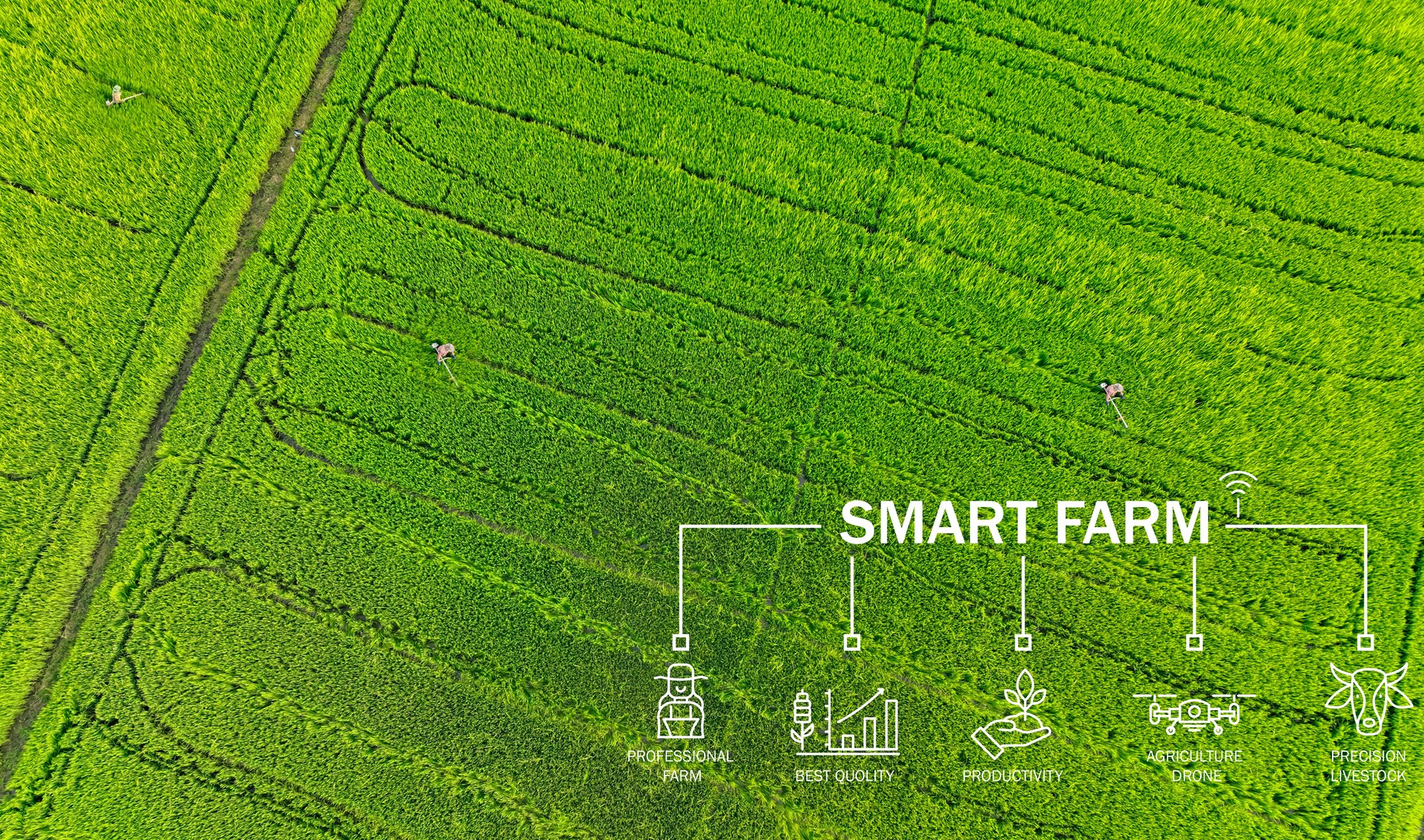 Smart farm technology meets agricultural expertise. Precision livestock management and agriculture drones enhance productivity. Modern farming practices. Innovation in sustainable agriculture.